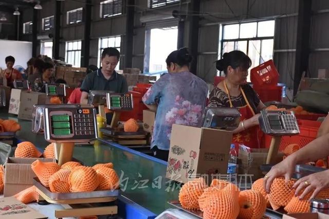 把“甜城味”送向全國(guó)！內(nèi)江又一大型電商集配中心初步建成投用