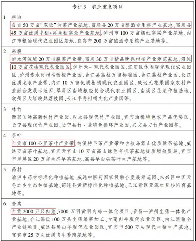 四川五大經(jīng)濟區(qū)“十四五”規(guī)劃出爐，自貢要干這些大事！(圖14)