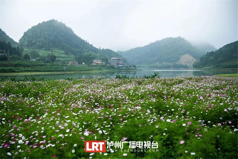 暢游酒城丨不想感受“人從眾“？趕緊收藏這份瀘州近郊游推薦！(圖3)