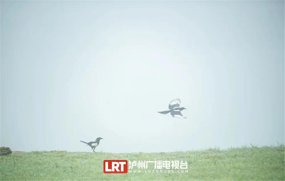 暢游酒城丨不想感受“人從眾“？趕緊收藏這份瀘州近郊游推薦！(圖5)
