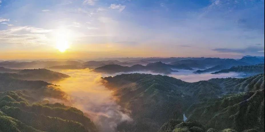 暢游酒城丨不想感受“人從眾“？趕緊收藏這份瀘州近郊游推薦！(圖19)