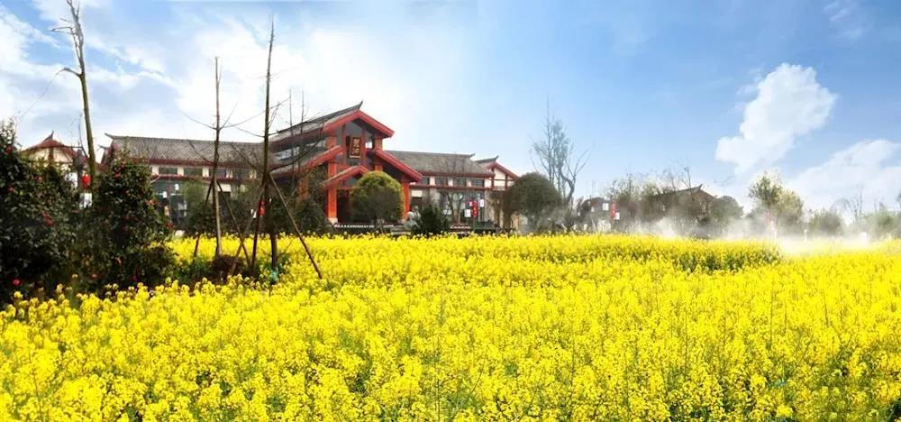 國慶長假去哪玩？納溪這些地方很不錯(cuò)哦(圖15)