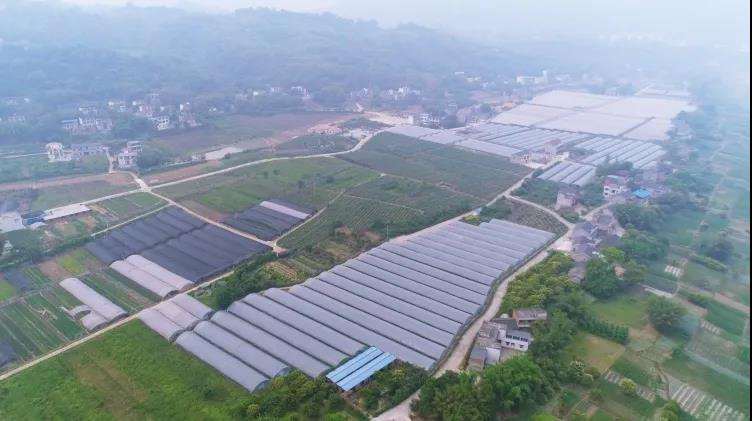 國慶長假去哪玩？納溪這些地方很不錯(cuò)哦(圖21)