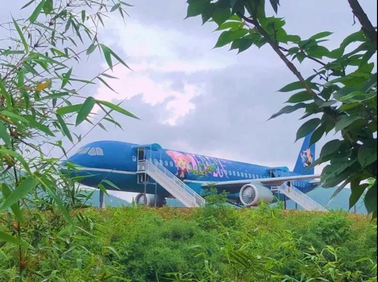 國慶長假去哪玩？納溪這些地方很不錯(cuò)哦(圖5)