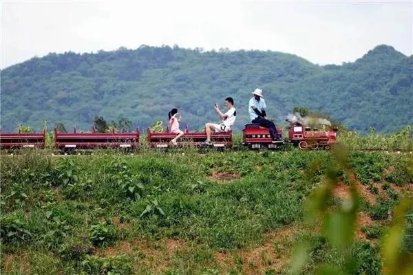 國慶長假去哪玩？納溪這些地方很不錯(cuò)哦(圖10)