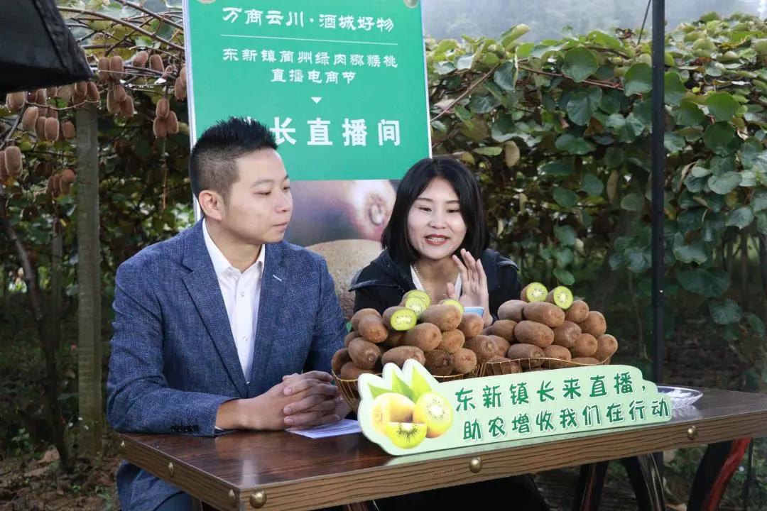 大山里搭起“直播間” ！古藺東新萬畝獼猴桃乘上直播快車(圖2)