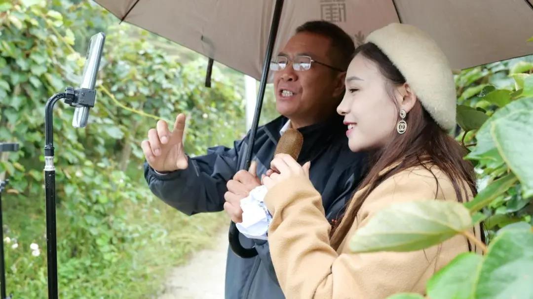 大山里搭起“直播間” ！古藺東新萬畝獼猴桃乘上直播快車(圖6)
