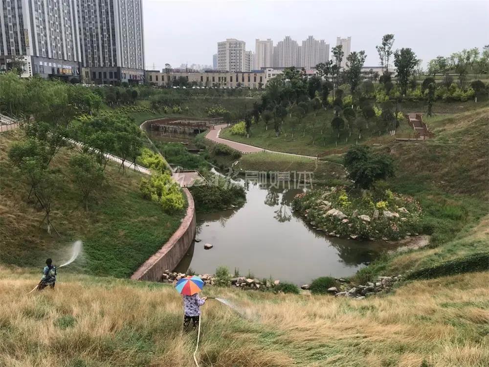 關(guān)注！內(nèi)江成功入選2021年首批省級城市體檢試點城市(圖2)