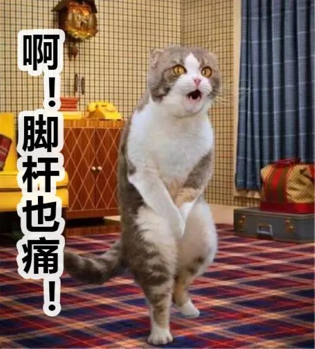 瀘州市人醫(yī)：一頓操作猛如虎，腰椎間盤(pán)不再苦