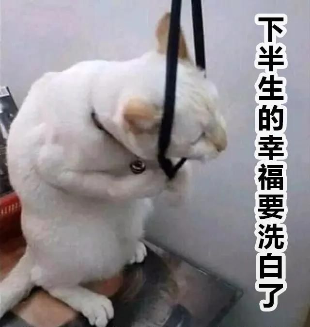 瀘州市人醫(yī)：一頓操作猛如虎，腰椎間盤不再苦(圖5)