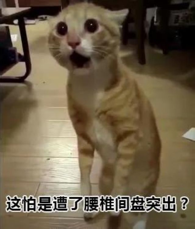 瀘州市人醫(yī)：一頓操作猛如虎，腰椎間盤不再苦(圖4)