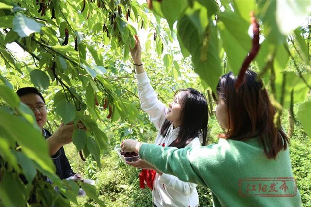 蔬菜太貴？江陽本土吃貨專場來咯！美味還實(shí)惠，買它！(圖6)