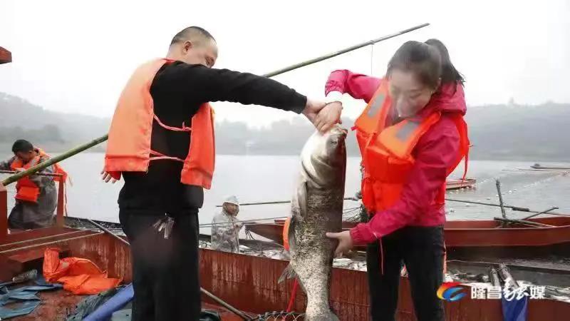 場面震撼！隆昌古宇湖大捕魚、捕大魚