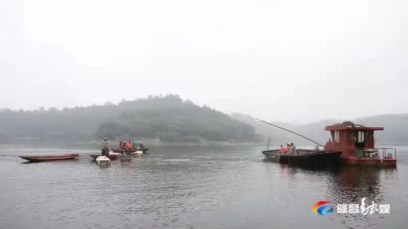 場(chǎng)面震撼！隆昌古宇湖大捕魚(yú)、捕大魚(yú)(圖2)