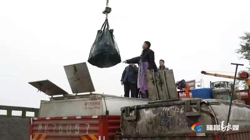 場(chǎng)面震撼！隆昌古宇湖大捕魚(yú)、捕大魚(yú)(圖9)