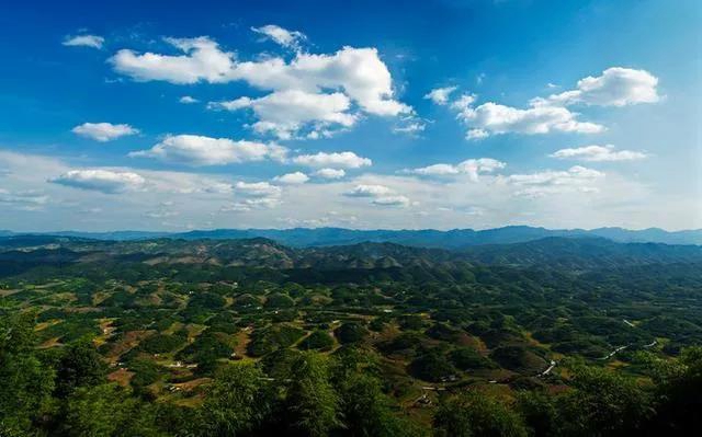 觀竹景、賞竹文、品竹食……快來(lái)領(lǐng)略宜賓最美竹游風(fēng)情！(圖2)