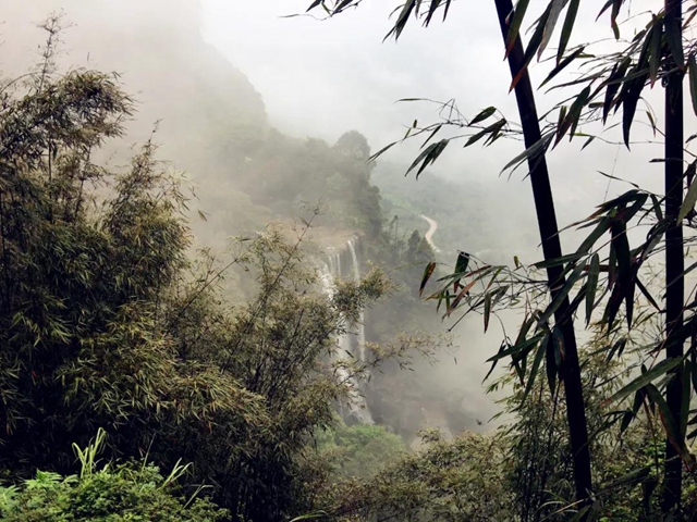 觀竹景、賞竹文、品竹食……快來(lái)領(lǐng)略宜賓最美竹游風(fēng)情！(圖3)