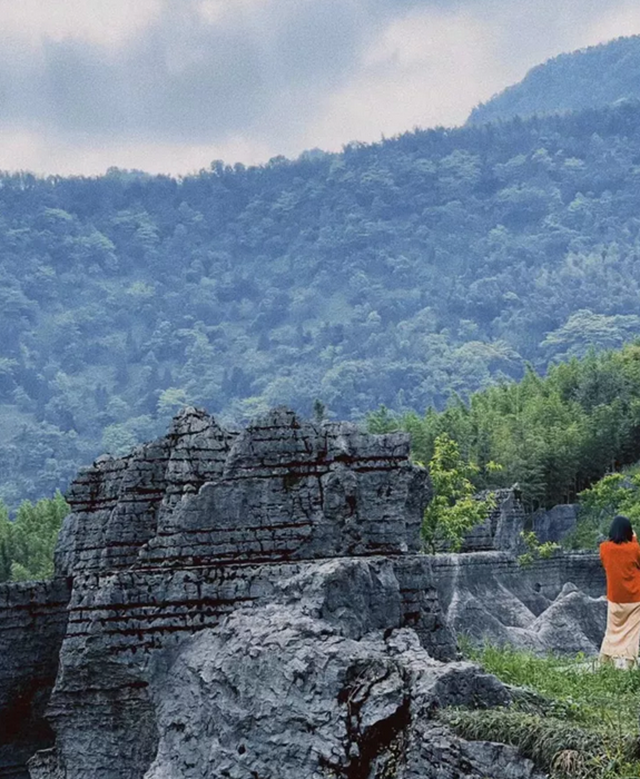 觀竹景、賞竹文、品竹食……快來(lái)領(lǐng)略宜賓最美竹游風(fēng)情！(圖6)