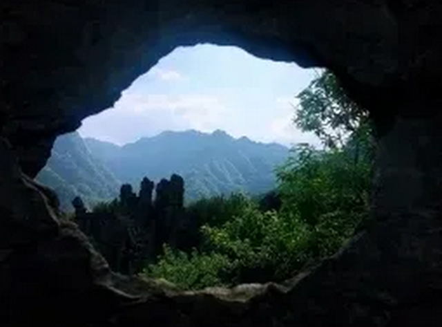 觀竹景、賞竹文、品竹食……快來(lái)領(lǐng)略宜賓最美竹游風(fēng)情！(圖5)