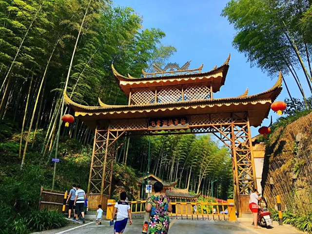 觀竹景、賞竹文、品竹食……快來(lái)領(lǐng)略宜賓最美竹游風(fēng)情！(圖8)