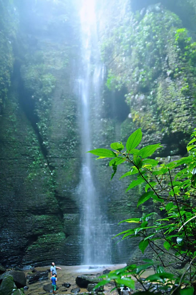 觀竹景、賞竹文、品竹食……快來(lái)領(lǐng)略宜賓最美竹游風(fēng)情！(圖9)