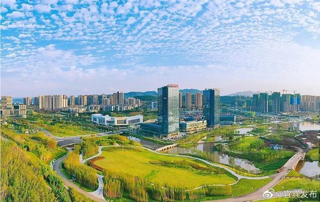 觀竹景、賞竹文、品竹食……快來(lái)領(lǐng)略宜賓最美竹游風(fēng)情！(圖12)