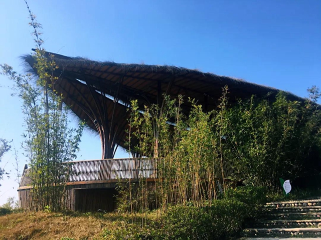 觀竹景、賞竹文、品竹食……快來(lái)領(lǐng)略宜賓最美竹游風(fēng)情！(圖15)
