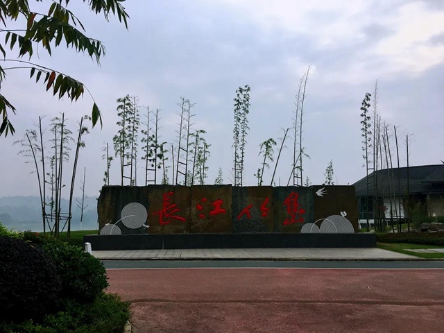 觀竹景、賞竹文、品竹食……快來(lái)領(lǐng)略宜賓最美竹游風(fēng)情！(圖18)