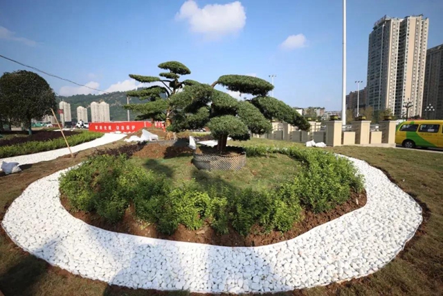 好消息！宜賓岷江橋頭交通樞紐預(yù)計今年底全部貫通