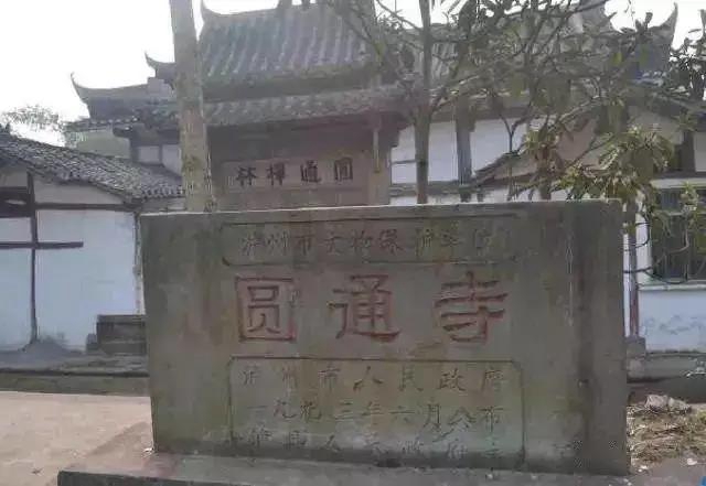 【我們這五年】瀘州這些文化遺產(chǎn)，了解一下！(圖13)