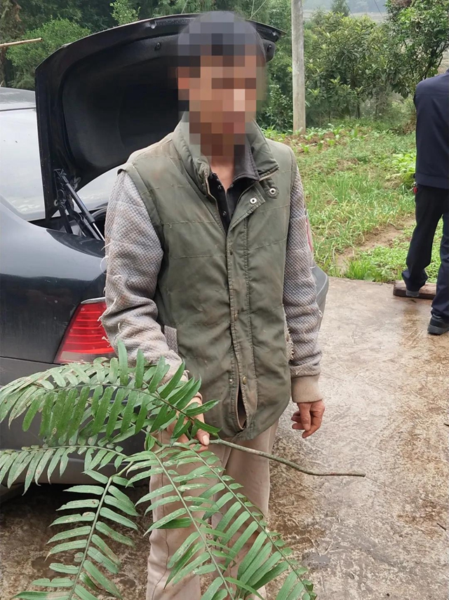 膽大包天！合江石龍鎮(zhèn)一男子直播售賣國家二級保護植物，被網(wǎng)友舉報……(圖3)