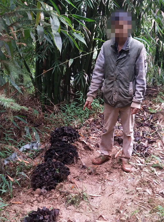 膽大包天！合江石龍鎮(zhèn)一男子直播售賣國家二級保護植物，被網(wǎng)友舉報……(圖4)