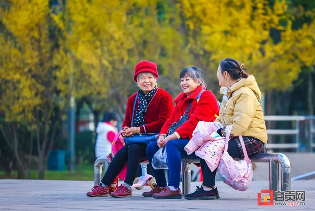 錯(cuò)過又等一年！現(xiàn)在的自貢美不勝收，還不去打卡！(圖24)