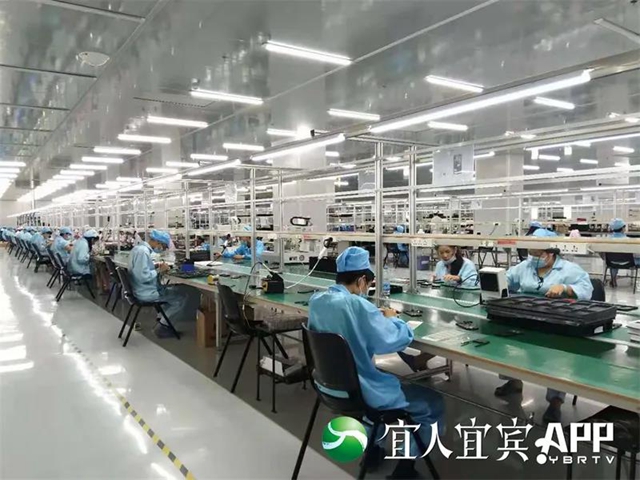 突破170億！宜賓外貿(mào)已連續(xù)20個(gè)月同比增長