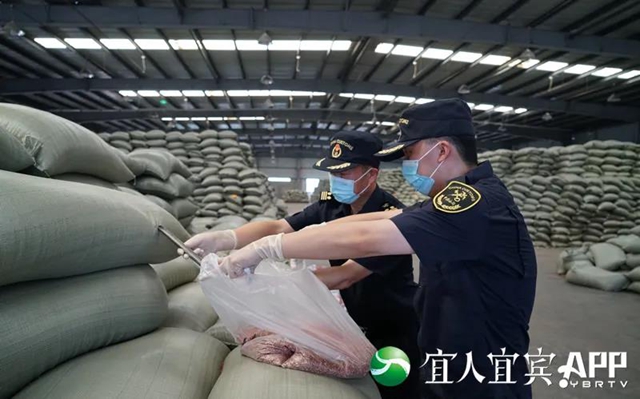 突破170億！宜賓外貿(mào)已連續(xù)20個(gè)月同比增長(zhǎng)(圖3)