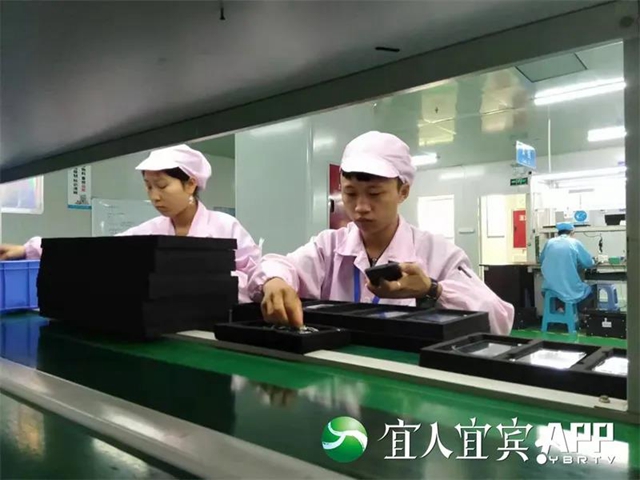 突破170億！宜賓外貿(mào)已連續(xù)20個(gè)月同比增長(zhǎng)(圖5)