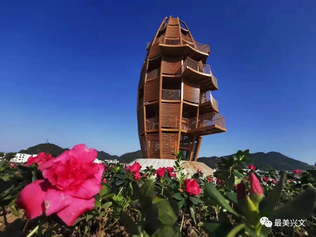宜賓又新增一網(wǎng)紅打卡地！觀光塔、拖船公園、荷塘、美食街……(圖8)