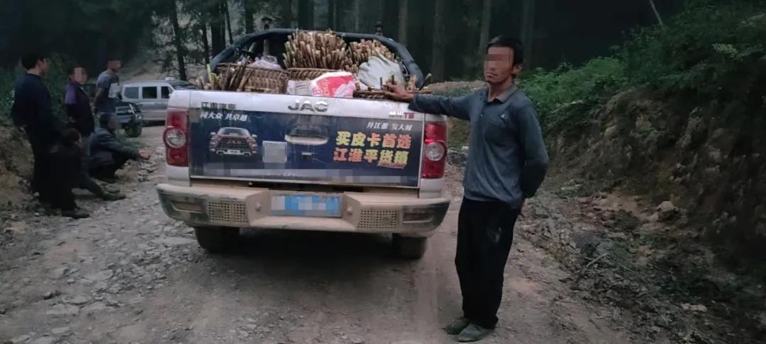 古藺男子開皮卡車偷竹筍被逮個正著！(圖4)