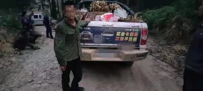 古藺男子開皮卡車偷竹筍被逮個正著！(圖3)