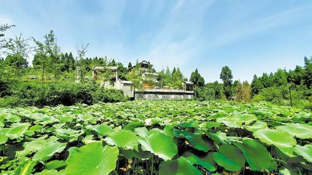 四川唯一！內(nèi)江這家民宿擬被評為乙級旅游民宿(圖3)