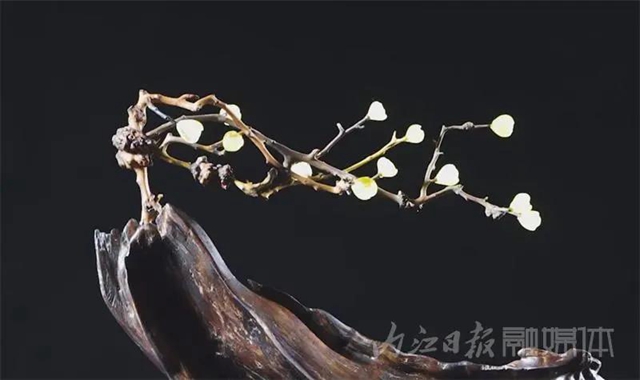 百年四代傳承！內(nèi)江有個雕刻世家(圖5)