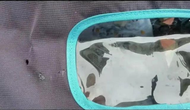 后續(xù)來了！瀘州高空煙頭燙穿嬰兒車的人已確定