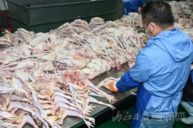 越嚼越香！內(nèi)江這個(gè)始于清朝的美食名不虛傳(圖4)