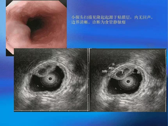 【注意】脾胃·風濕免疫病科有新家了！(圖12)