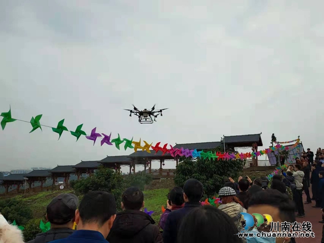 即將過(guò)去的一年，瀘州這群“新”人做了些什么？(圖11)