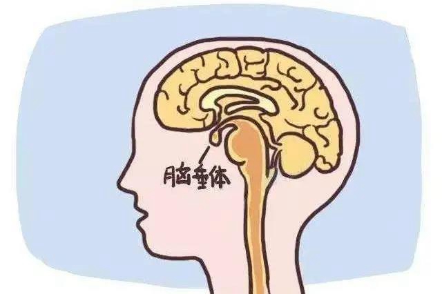 【圍觀】女兒不來月經(jīng)，還越長(zhǎng)越像男的？(圖2)