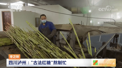 甜蜜蜜！瀘州美食又上央視！