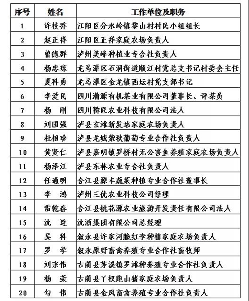 瀘州市2021年度“酒城英才”創(chuàng)新團隊和拔尖、領軍人才擬入選名單出爐(圖5)