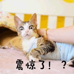 【視頻】關(guān)于腫瘤您了解多少？這位醫(yī)生告訴您