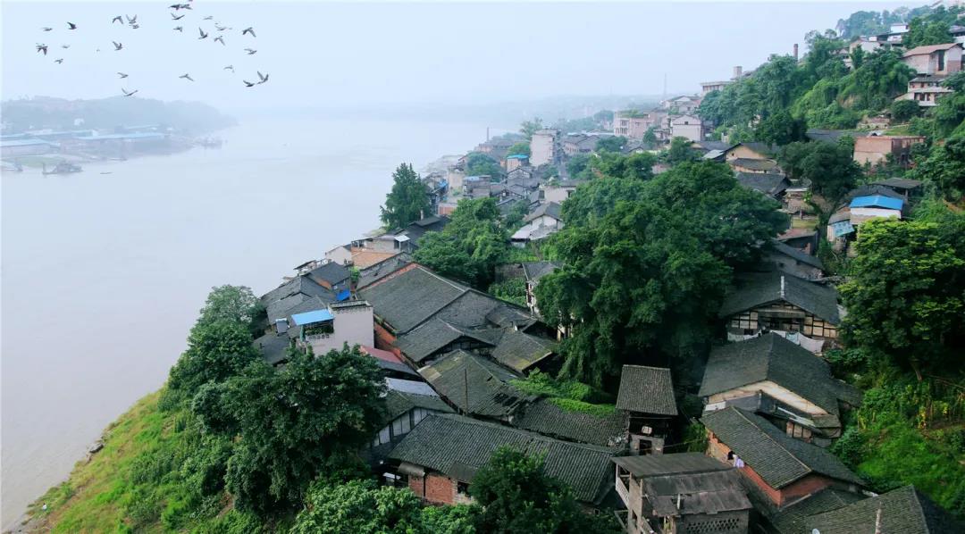 瀘永江3條精品旅游線路出爐，一同暢游川渝(圖10)